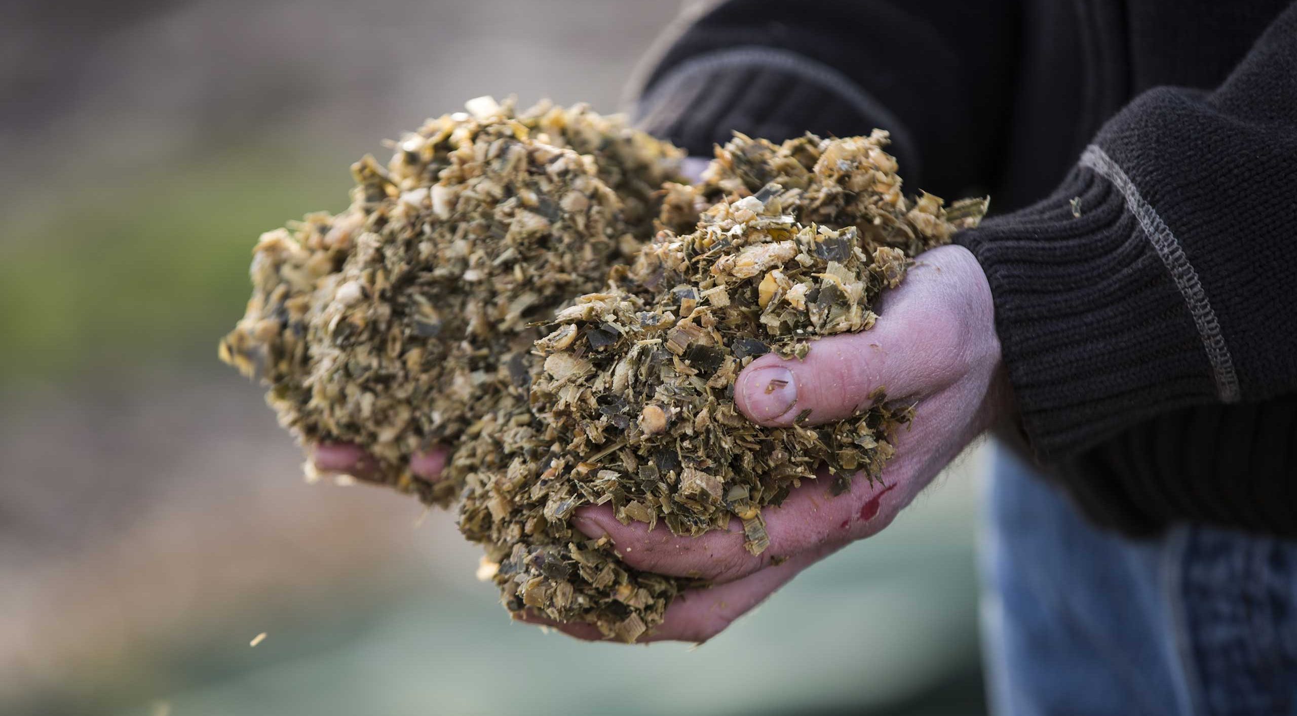 Biomass